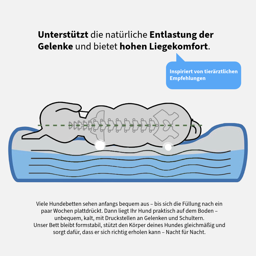 Cozy Cave  – Orthopädisches Bett für maximalen Schlafkomfort
