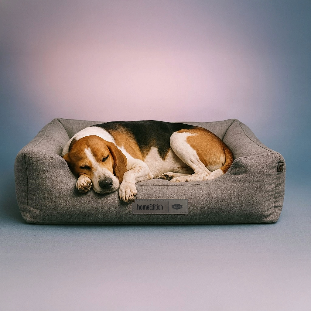 Cozy Cave  – Orthopädisches Bett für maximalen Schlafkomfort